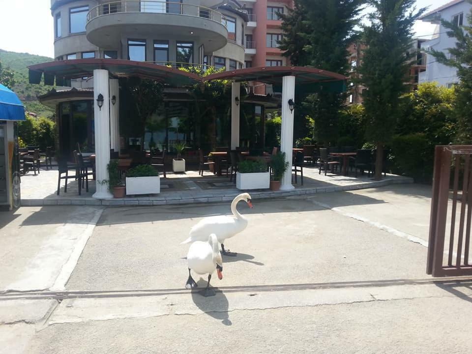 Hotel Saint Marena Pogradec Eksteriør billede